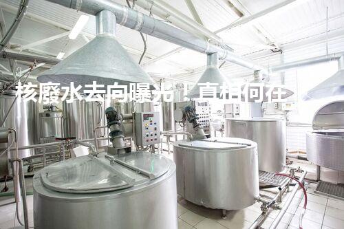 核廢水去向曝光！真相何在？